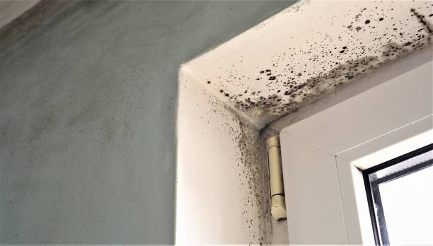 Best Indoor Air Quality Assessment  in Harrisburg, SD
