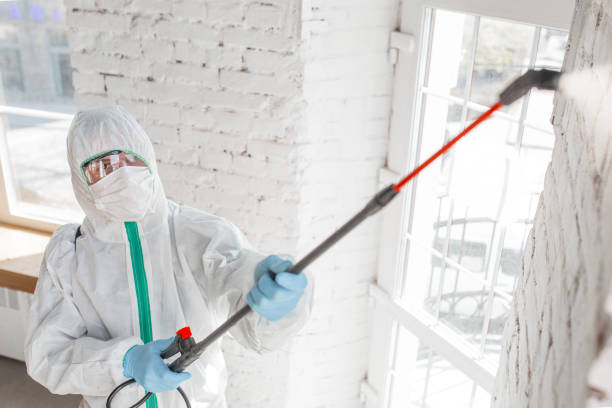 Best Emergency Mold Remediation  in Harrisburg, SD