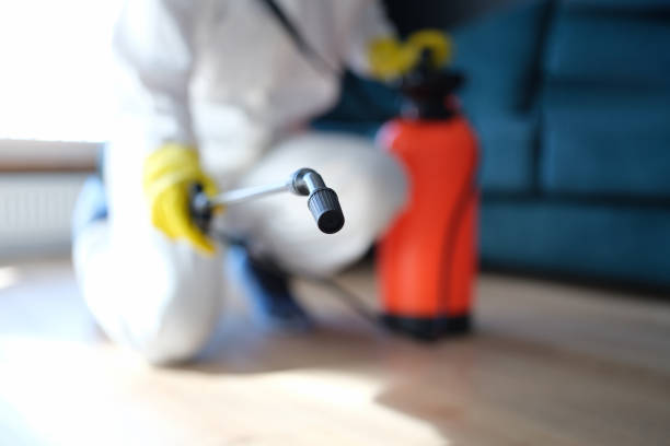 Harrisburg, SD Mold Removal Company