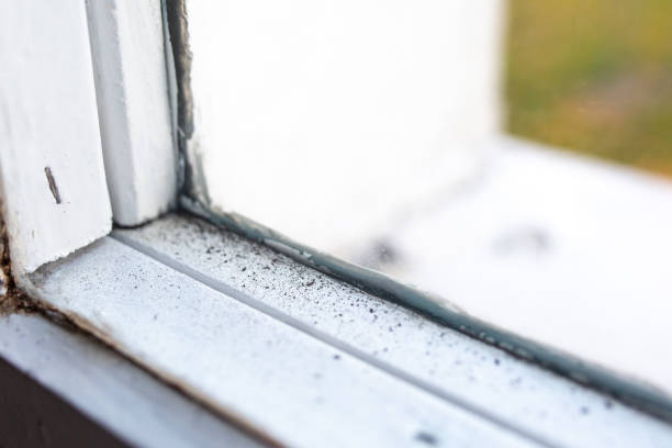Best Biohazard Mold Removal  in Harrisburg, SD