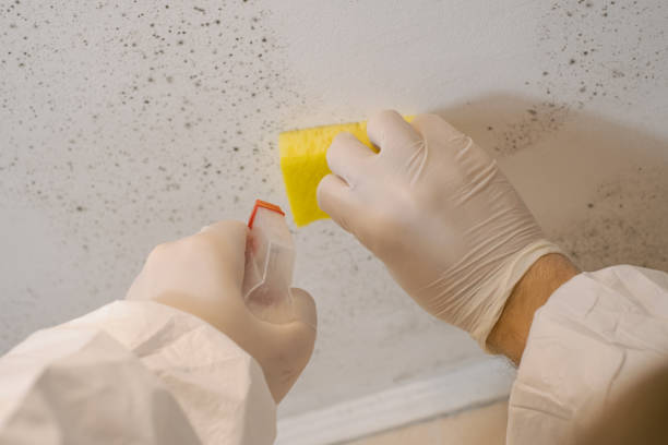 Best Mold Prevention Services  in Harrisburg, SD