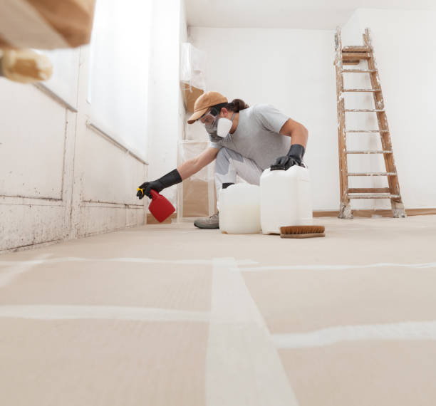 Best Industrial Mold Remediation  in Harrisburg, SD