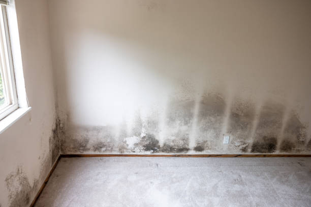 Best Post-Remediation Verification Testing  in Harrisburg, SD